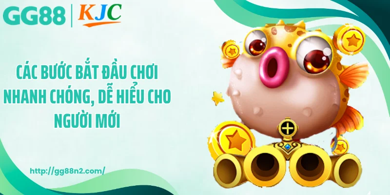 Các bước bắt đầu chơi nhanh chóng, dễ hiểu cho người mới